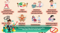 Panduan-Pola-Hidup-Sehat-Harian-yang-Bisa-Diterapkan-Pemula-Tanpa-Ribet